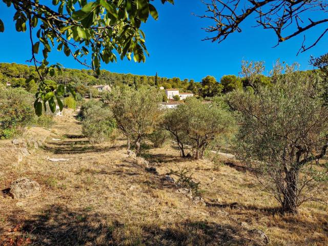 Terrain vente à Lorgues, Var