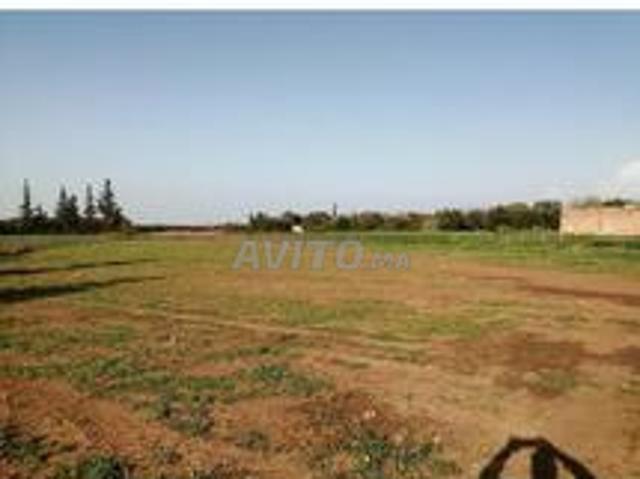 Propriété vente à Mellal