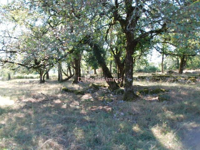Terrain vente à Loubressac, Lot