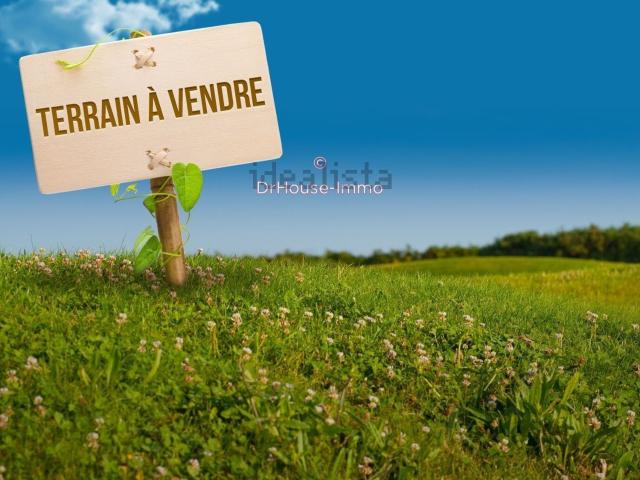 Terrain vente à Lutter, Collectivité européenne d'Alsace