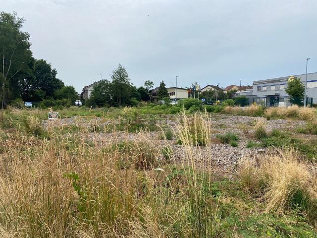 Terrain vente à Luxeuil-les-Bains, Haute-Saône