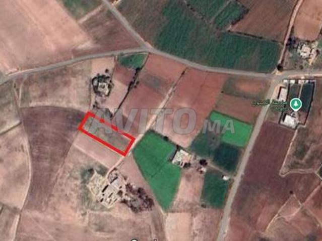 Propriété vente à El Ma, Gharb-Chrarda-Beni Hssen
