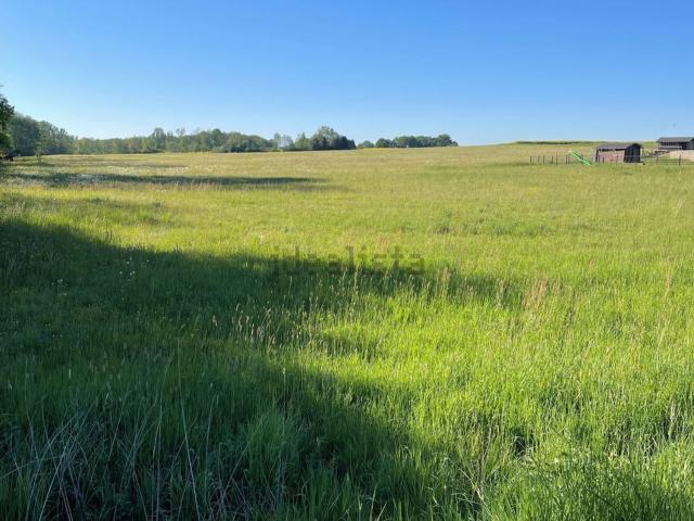 Terrain vente à Chavannes-les-Grands, Collectivité européenne d'Alsace