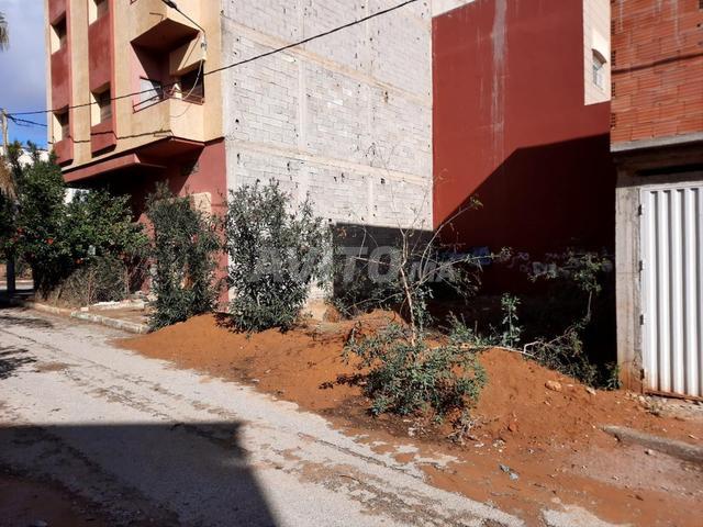 Propriété vente à Oued ed Dahab-Lagouira