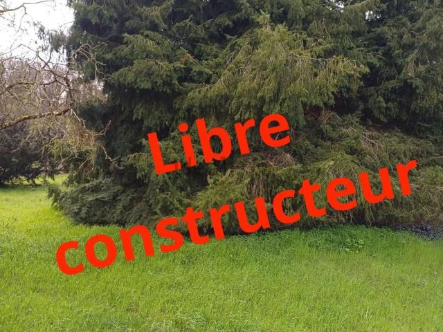 Terrain vente à Maisse, Essonne