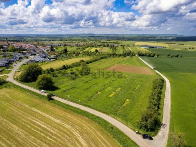 Terrain vente à Maixe, Meurthe-et-Moselle