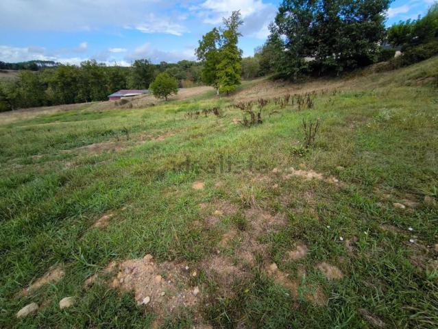 Terrain vente à Malemort-sur-Corrèze, Malemort