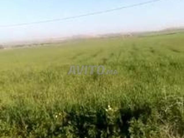 Propriété vente à Gharb-Chrarda-Beni Hssen