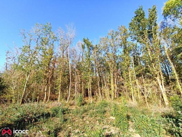 Terrain vente à Mareuil-sur-Lay, Mareuil-sur-Lay-Dissais