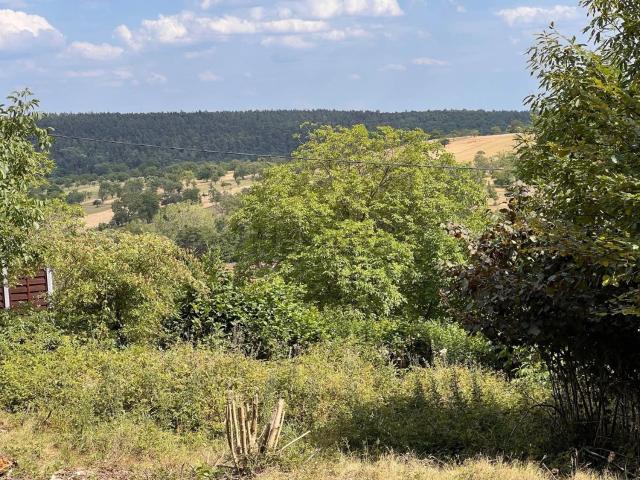 Terrain vente à Marmoutier, Collectivité européenne d'Alsace