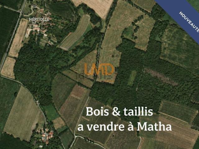 Terrain vente à Bourg, Matha
