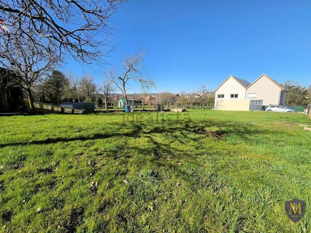 Terrain vente à Michelbach-le-Bas, Collectivité européenne d'Alsace