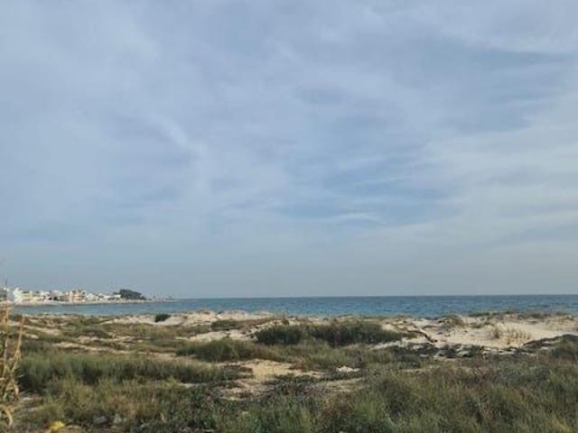 Terrain vente à Nabeul