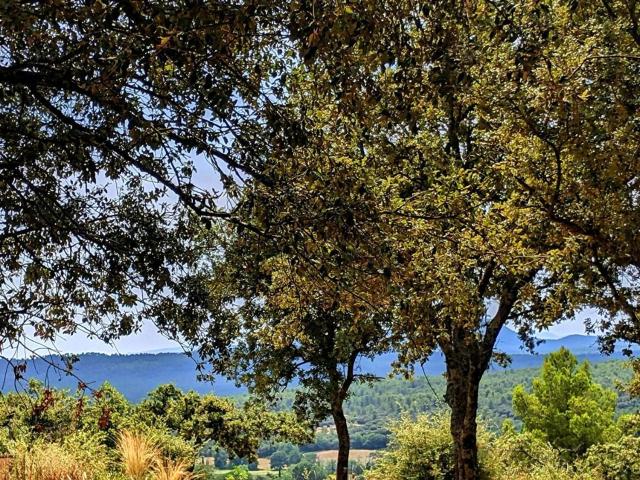 Terrain vente à Moissac-Bellevue, Var