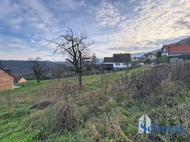 Terrain vente à Mollkirch, Collectivité européenne d'Alsace