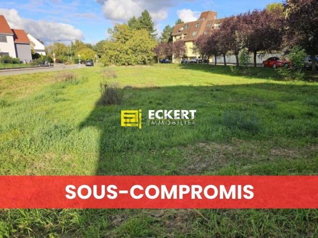 Terrain vente à Molsheim, Collectivité européenne d'Alsace