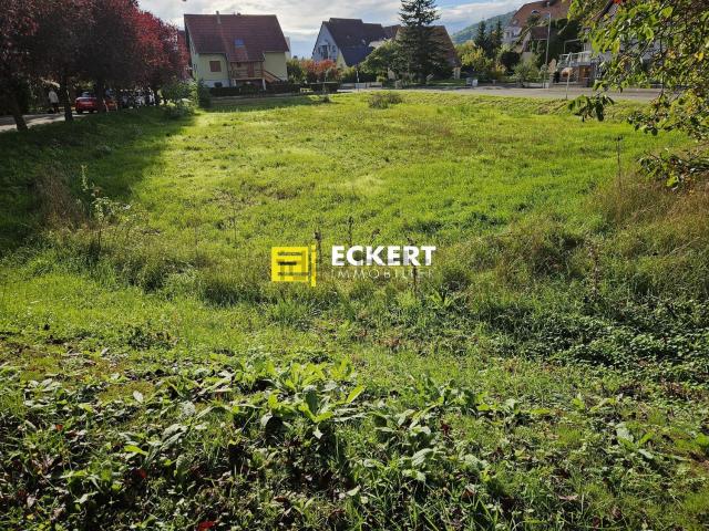 Terrain vente à Molsheim, Collectivité européenne d'Alsace