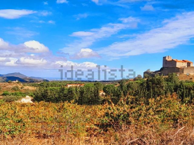 Terrain vente à Montalba-le-Château, Pyrénées-Orientales