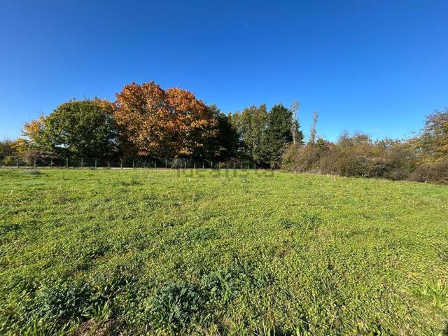 Terrain vente à Montigny-sur-Loing, Seine-et-Marne