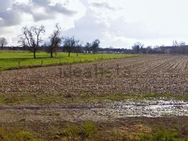 Terrain vente à Montmirail, Marne
