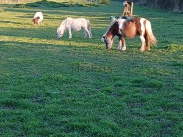 Terrain vente à Villeneuve, Montoire-sur-le-Loir
