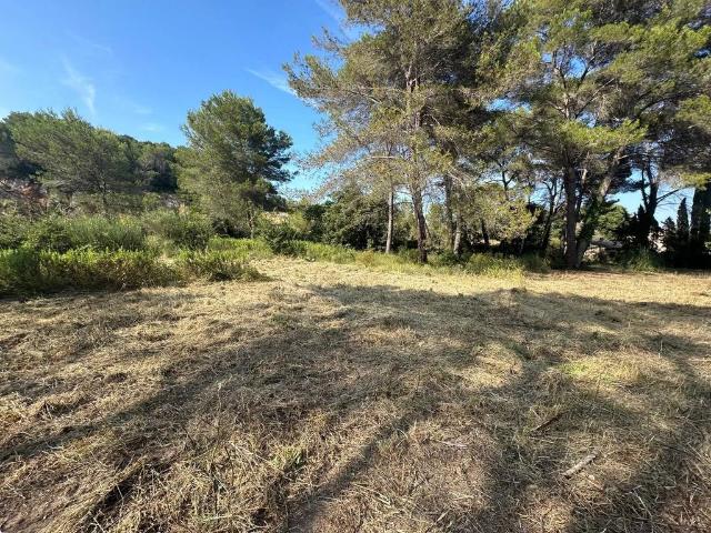 Terrain vente à Grasse, Mougins