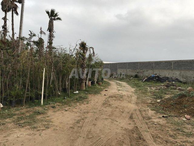 Propriété vente à Martil, Tanger-Tétouan