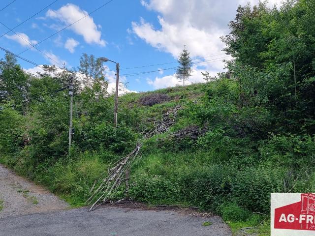 Terrain vente à Breitenbach-Haut-Rhin, Collectivité européenne d'Alsace