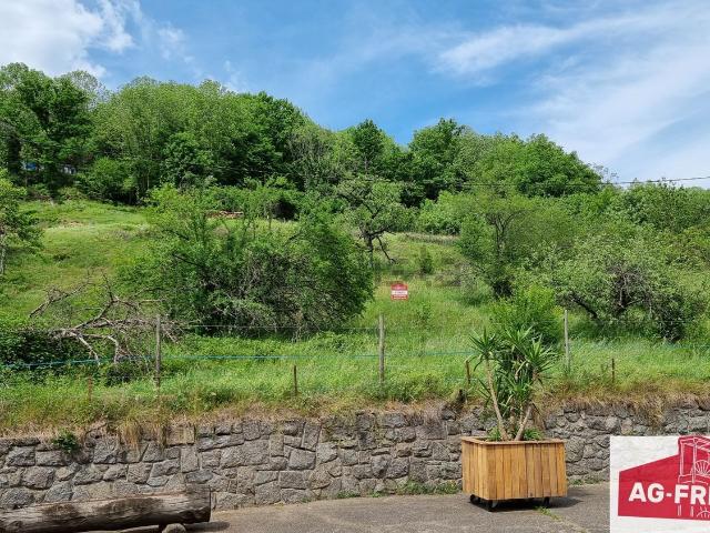Terrain vente à Muhlbach-sur-Munster, Collectivité européenne d'Alsace