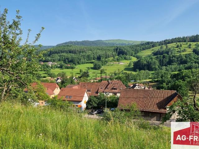 Terrain vente à Muhlbach-sur-Munster, Collectivité européenne d'Alsace