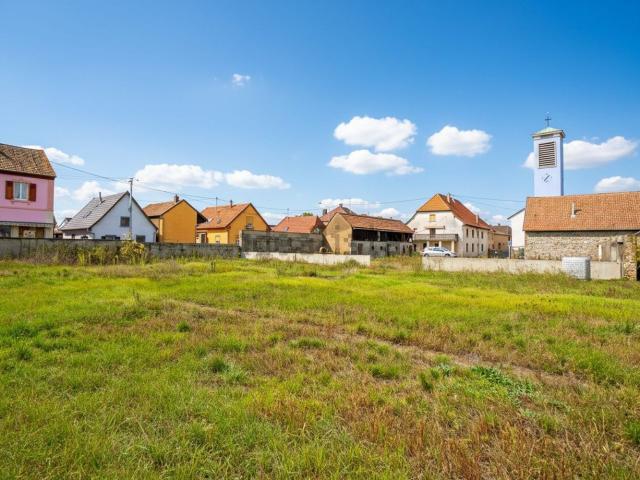 Terrain vente à Munchhouse, Collectivité européenne d'Alsace