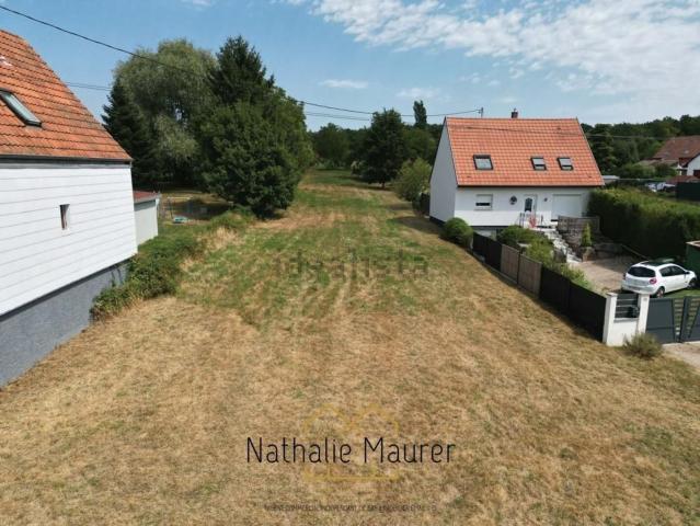 Terrain vente à Mutzig, Collectivité européenne d'Alsace