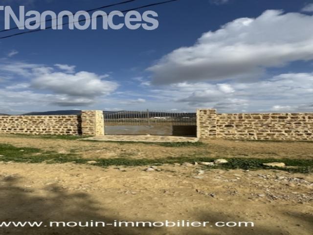 Terrain vente