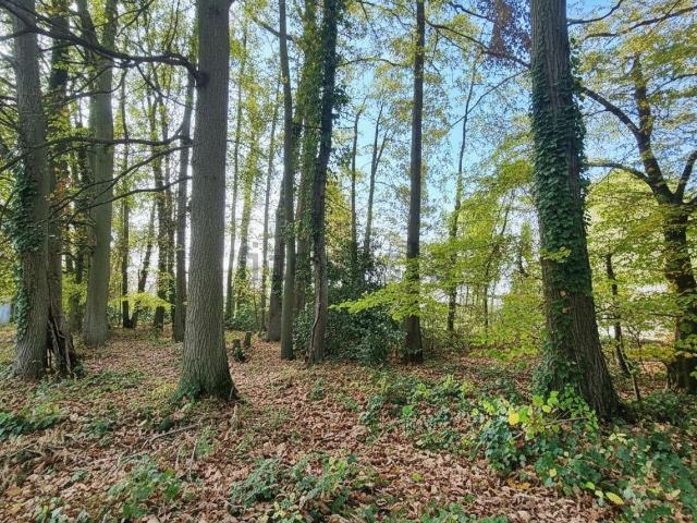 Terrain vente à Neauphle-le-Château, Yvelines