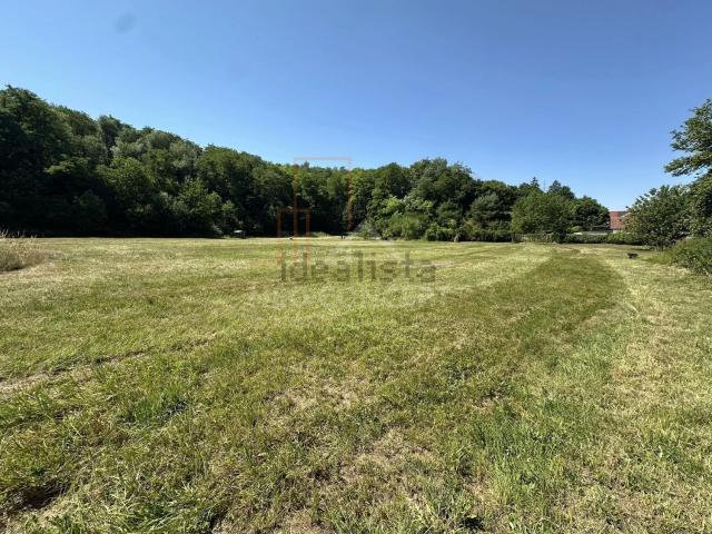 Terrain vente à Neewiller-près-Lauterbourg, Collectivité européenne d'Alsace