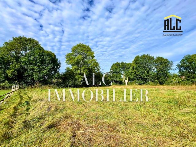 Terrain vente à Ricouillet, Neufchâtel-en-Saosnois