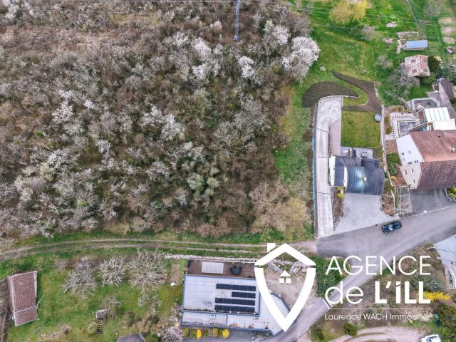 Terrain vente à Neuve-Église, Collectivité européenne d'Alsace