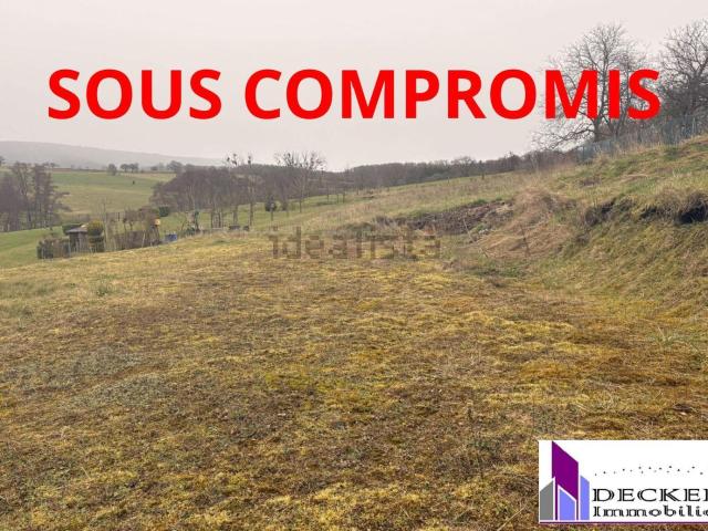 Terrain vente à Niederbronn-les-Bains, Collectivité européenne d'Alsace