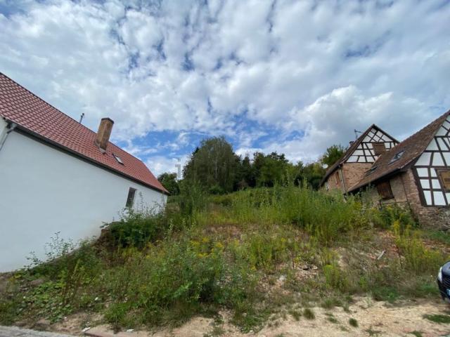 Terrain vente à Niederbronn-les-Bains, Collectivité européenne d'Alsace