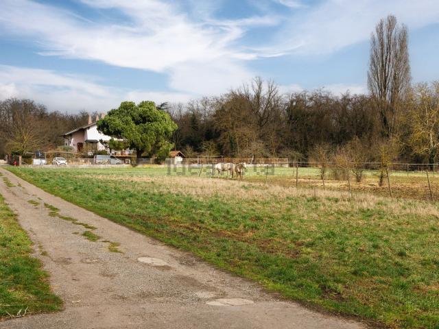 Terrain vente à Niederhergheim, Collectivité européenne d'Alsace