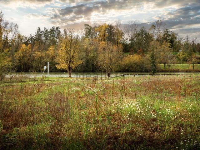 Terrain vente à Niffer, Collectivité européenne d'Alsace