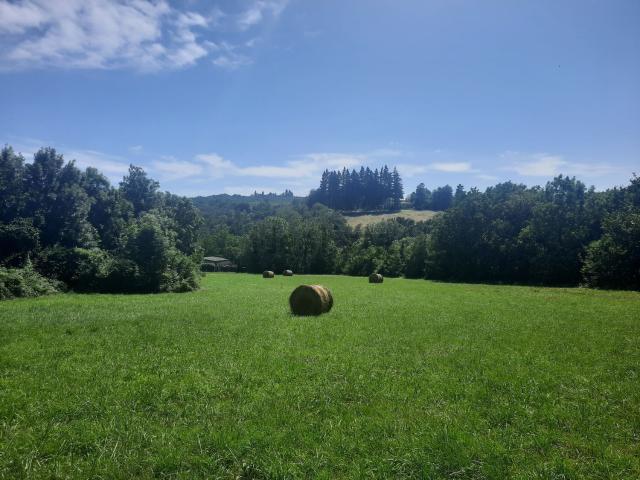 Terrain vente à Noailhac, Tarn