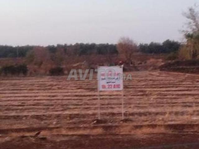 Propriété vente à Mellal