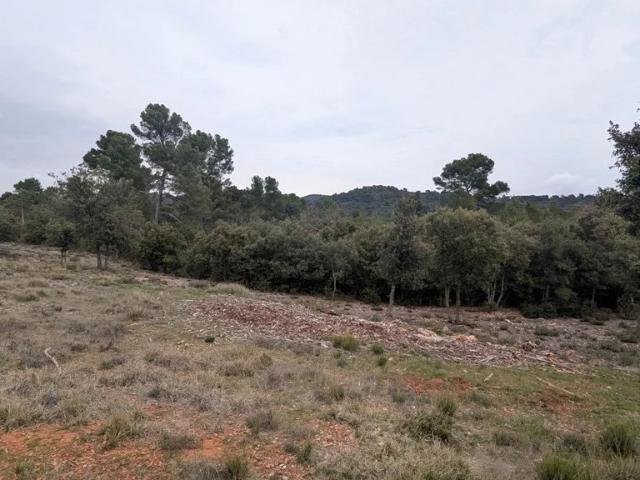 Terrain vente à Brignoles, Aups