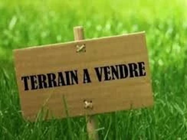 Terrain vente à Pignan
