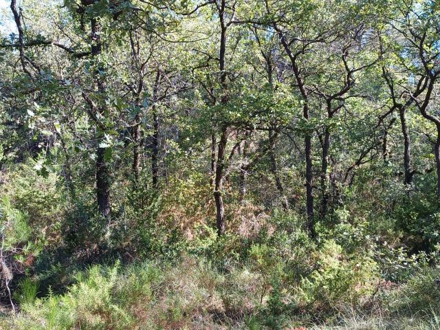 Terrain vente à France métropolitaine, Fuveau