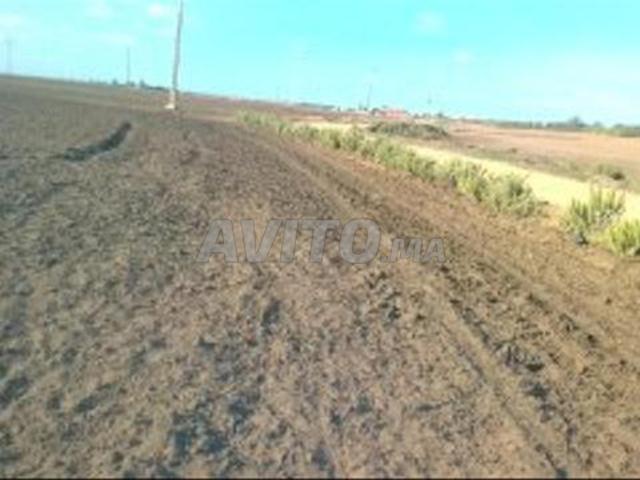 Propriété vente à Sidi Bennour, Gharb-Chrarda-Beni Hssen