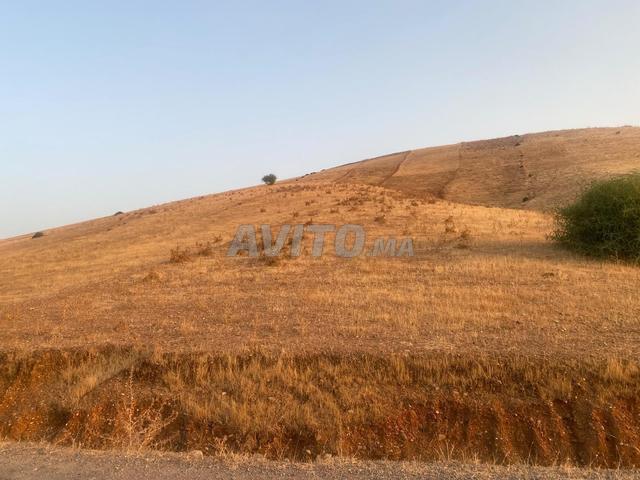 Propriété vente à Khémisset