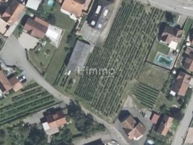 Terrain vente à Nothalten, Collectivité européenne d'Alsace