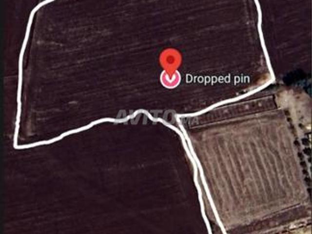 Propriété location à Sidi Mekki, Gharb-Chrarda-Beni Hssen